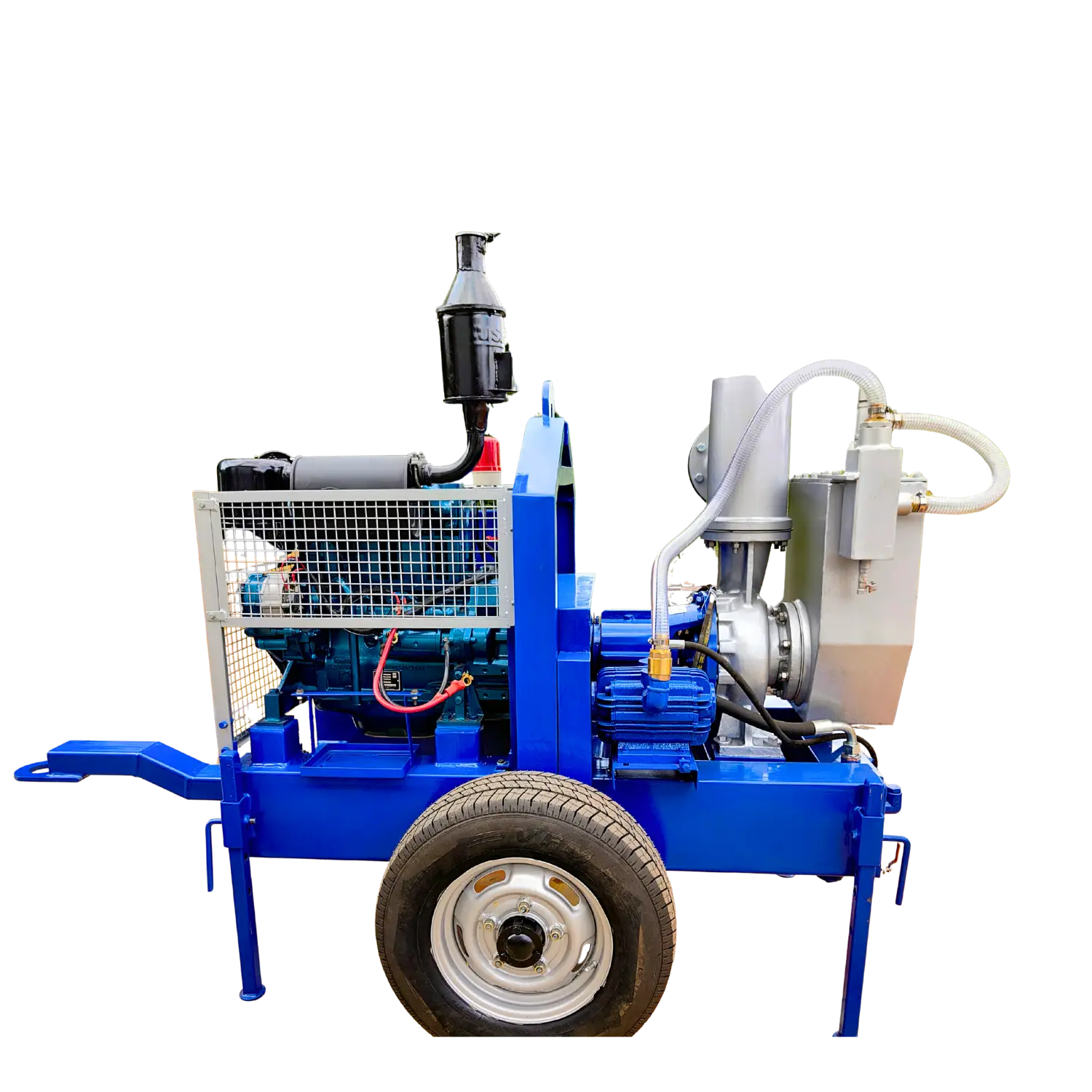 6 inch Special Edition - Image 5