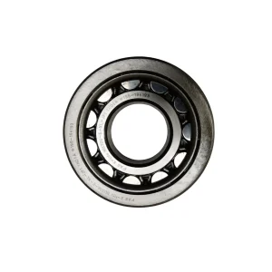 Vacuum Motor Bearing NU306