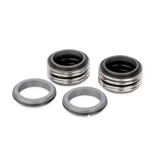 Double Mechanical Seal