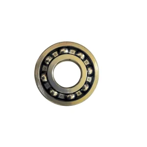 Vacuum Motor Bearing 6306