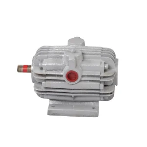Vacuum Motor